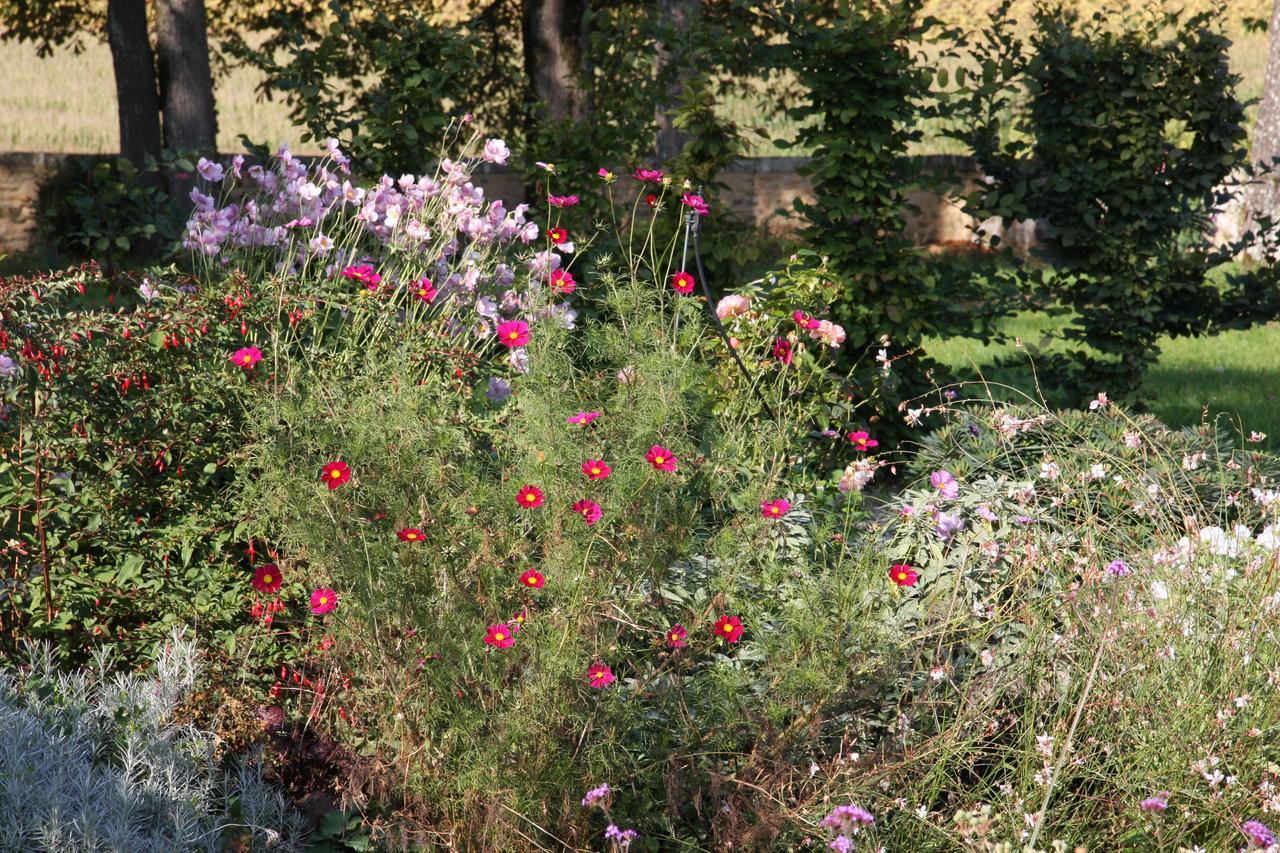Chateau Manoir De La Leche Touvre ภายนอก รูปภาพ